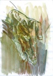 Hand, watercolor on paper, 21x29cm, 2003